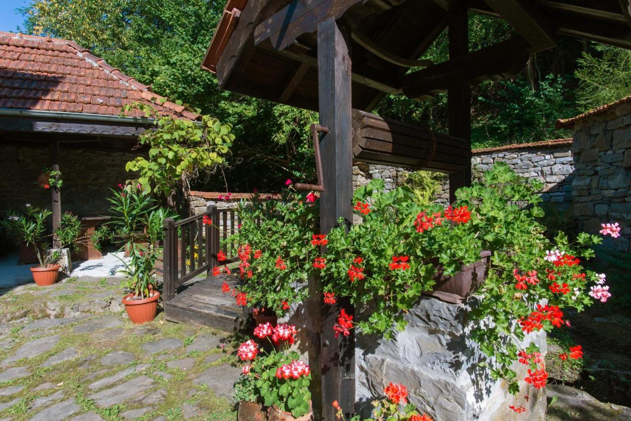 Family Hotel Bile Beli Osŭm Exteriör bild